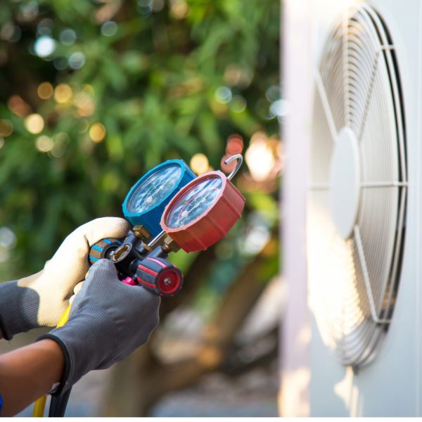 Untitled (1) Untitled (1)